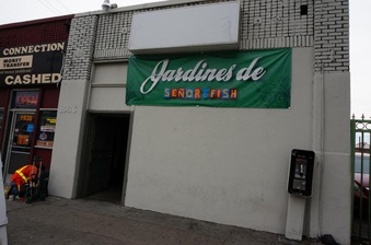 Jardines de Senor Fish