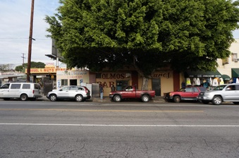 Olmos Bar