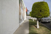 Enlarge photo 41