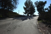 Enlarge photo 37