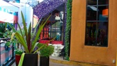Enlarge photo 30