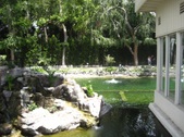 Enlarge photo 35