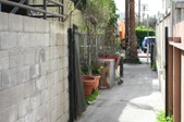 Enlarge photo 52