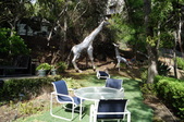 Enlarge photo 42