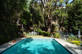 Enlarge photo 33