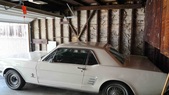 Enlarge photo 16