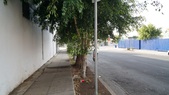 Enlarge photo 105
