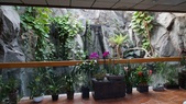 Enlarge photo 57