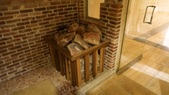 Enlarge photo 74