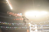 Enlarge photo 39
