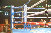 Enlarge photo 55