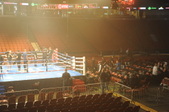 Enlarge photo 61