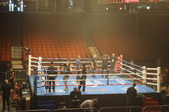 Enlarge photo 63