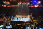 Enlarge photo 105