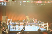 Enlarge photo 62