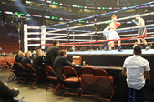 Enlarge photo 93