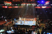 Enlarge photo 105