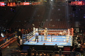 Enlarge photo 106