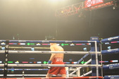 Enlarge photo 108