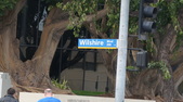 Enlarge photo 55