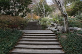Enlarge photo 109