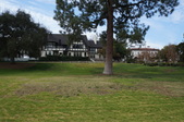Enlarge photo 115