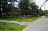 Enlarge photo 119