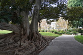 Enlarge photo 121