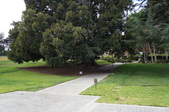 Enlarge photo 127