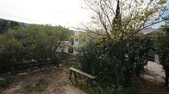 Enlarge photo 44