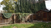 Enlarge photo 53