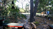 Enlarge photo 16