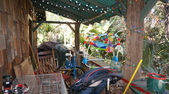 Enlarge photo 17