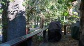 Enlarge photo 39