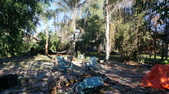 Enlarge photo 41