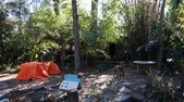 Enlarge photo 42