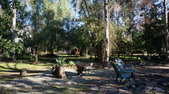 Enlarge photo 44