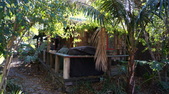 Enlarge photo 47