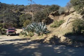 Enlarge photo 43