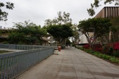 Enlarge photo 46