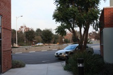 Enlarge photo 12
