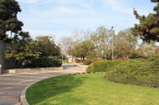 Enlarge photo 5