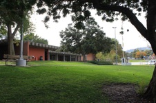 Enlarge photo 16