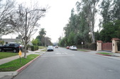 Enlarge photo 114