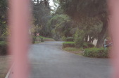 Enlarge photo 116