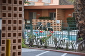 Enlarge photo 77