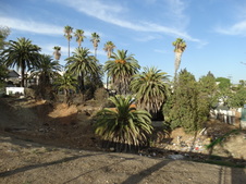 Enlarge photo 7
