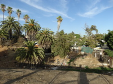 Enlarge photo 12