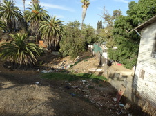 Enlarge photo 14