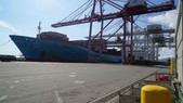 Enlarge photo 31